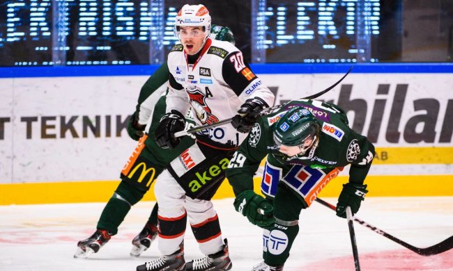 Шведські хокеїсти влаштували льодове побоїще: відео