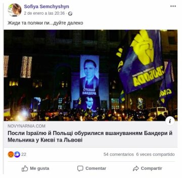 Пост дочери Ирины Фарион, Facebook