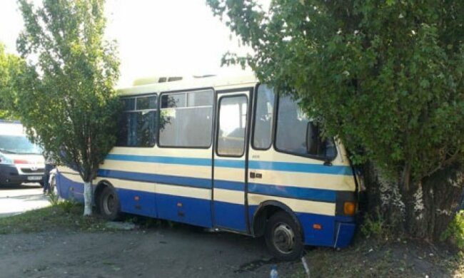 В Донецкой области из-за аварии автобуса госпитализировали шесть человек (фото)