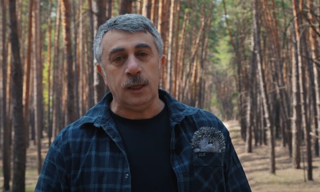 Комаровський, фото з вільних джерел