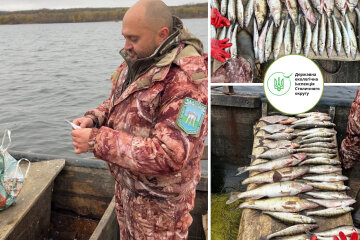 Держекоінспекція