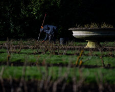 Садівник // gettyimages