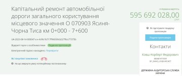 На Закарпатье закатают в асфальт 600 млн. Фото скриншот из Prozorro