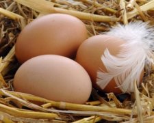 Яйца из холодильника вредны для здоровья