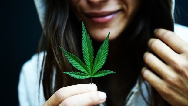 Как влияет на девушек марихуана листики конопли