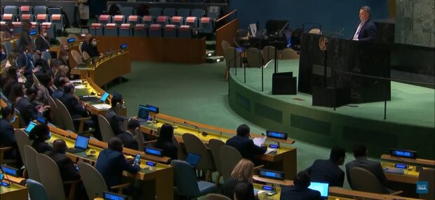 ООН, фото: скриншот из видео
