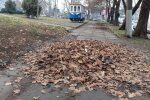 Черновчане показали позор коммунальщиков одним фото: навалили кучу возле вокзала