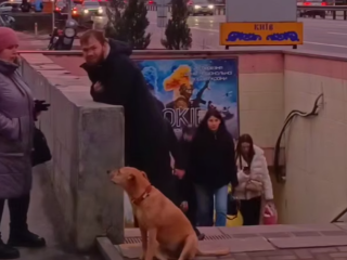 Українці, підземний перехід, кадр з відео