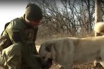 Украинский защитник и собака. Фото: скрин youtube