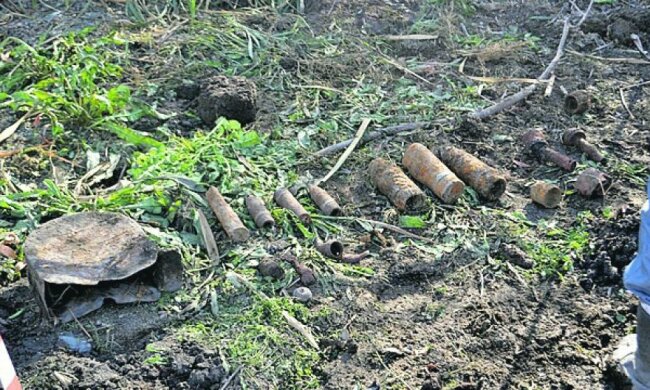 Из-за пожара на Киевщине взрываются боеприпасы Второй мировой войны
