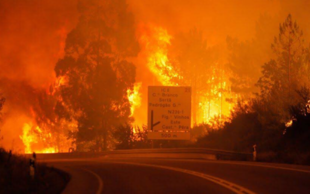 Португалію охопили моторошні пожежі: безліч жертв