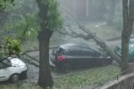 Непогода во Львове, Варта Львов