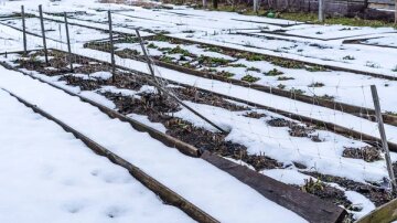 Город / фото: відкриті джерела