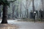Шашлики і танці на могилах: у Мелітополі цвинтар перетворили на "нічний клуб", дикі кадри загробної вечірки