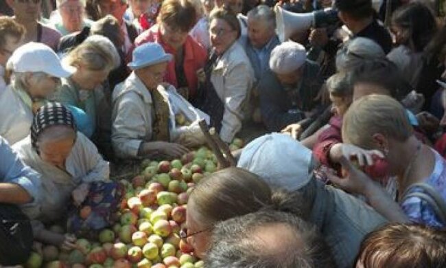 Петербуржцы озверели в давке за бесплатными яблоками (видео) 