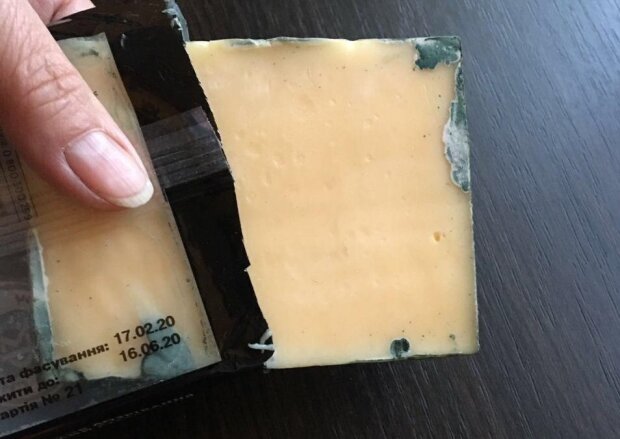 Сир з пліснявою, фото Telegram