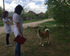 Скажена кусака: в Одесі пенсіонерка з собакою стала "грозою" району