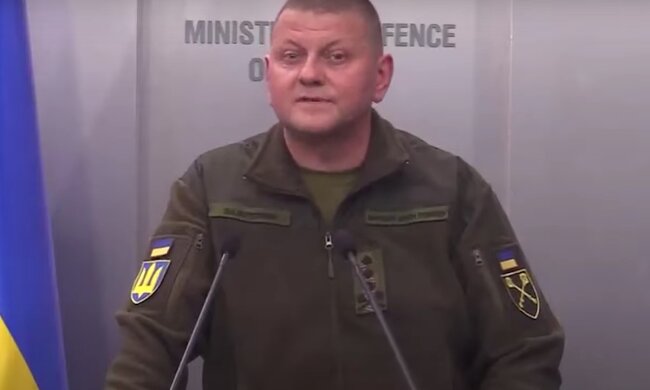 Валерий Залужный. Фото: скрин youtube