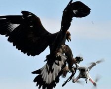 Французька армія поповниться бойовими орлами