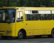 Івано-Франківського водія маршрутки звільнили через конфлікт з ветераном АТО