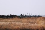 На Донбассе оккупанты наплевали на договоренности и атаковали украинских героев – четверо пострадавших