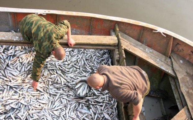 Лайфхак по-русски: как выловить тонны рыбы за миг