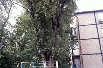 источник: ГУ ГСЧС Украины