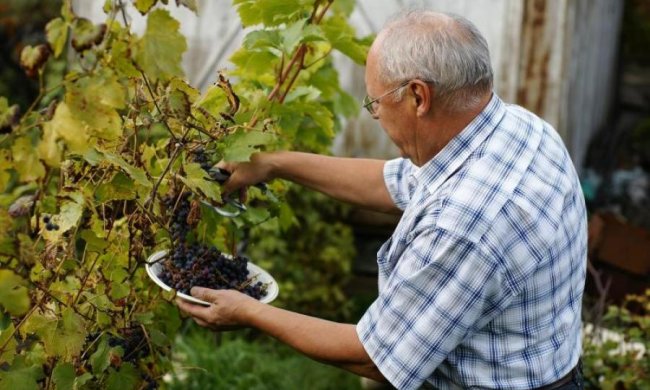Грипп атакует: что нужно есть, чтобы не заболеть