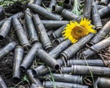 Показательный смотр: почему притихли орудия на Донбассе