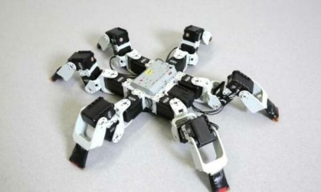 Механічний павук обігнав живого конкурента