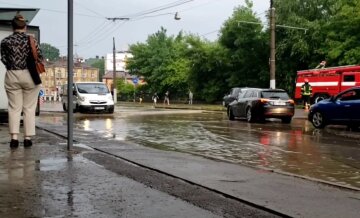 Львов, скриншот из видео