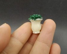 В 40 раз полезнее: украинец похвастался необычными продуктами