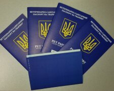 В Україні з'явиться новий вид паспортів: почнуть видавати восени