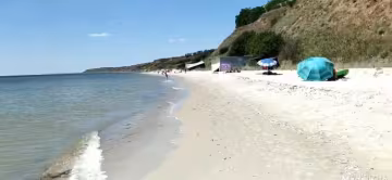 Азовское море атаковали полчища медуз - жалят больнее крапивы