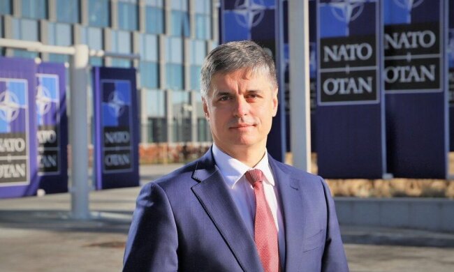 У Зеленського здеруть з українців три шкури через "формулу Штайнмайера": третина зарплат і пенсій
