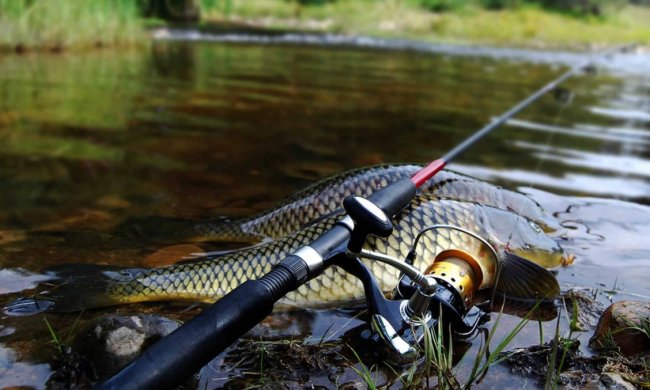 Мужчина выловил гигантского 105-килограмового карпа: сражение продолжалось 80 минут, фото