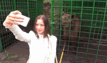 Россияне ради селфи обнимаются с медведями