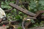 Скрін, відео ТСН