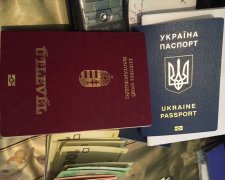 З депутатських крісел до "Чистилища": українських чиновників притисли за  угорські паспорти