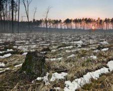 IKEA і H&M не встигли прийти в Україну, а вже влипли в скандал