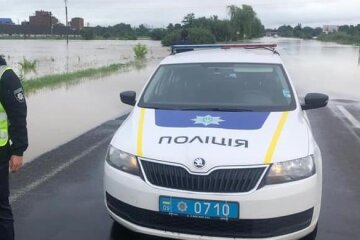 На Франковщине пенсионерку поглотил лес - очень любила ягоды