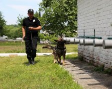 Під Києвом шукають дівчинку, Даша Лук'яненко спливає у пам'яті: батьки благають про допомогу