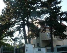 Азаров продає маєток у Відні (фото)