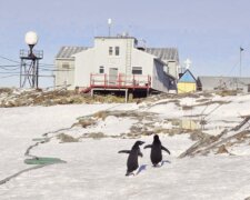 Фото: "Академик Вернадский"