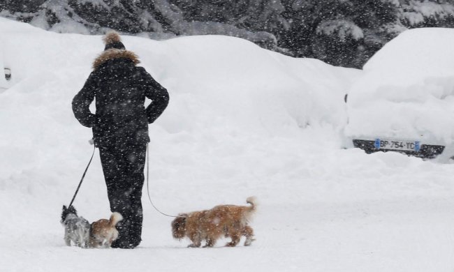 Погода на 13 февраля: синоптики встревожили прогнозом, весна придет не скоро