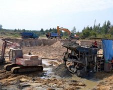 Золотая жила Украины: бизнес, способный вытащить экономику со дна