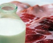 Експерименти уряду залишать бюджетників без м'яса і молочки