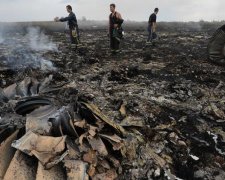 Катастрофа МН 17: винного у трагедії здав рідний брат