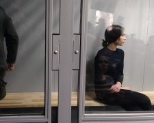 Дело Зайцевой-Дронова распадается: украинцы срочно обратились к Зеленскому, сбывается страшнейший сценарий