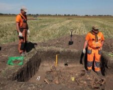 "Самі кістки": під Харковом натрапили на величезний могильник, кадри для "міцних горішків"